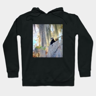 Counselor Hoodie